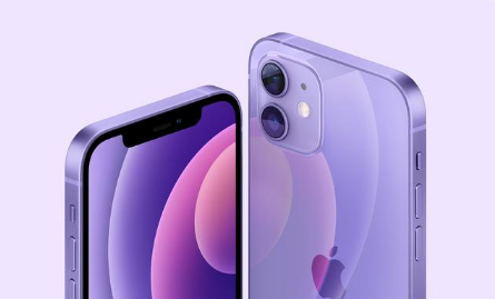 濉溪苹果手机维修分享紫色版iPhone 12有什么技术亮点 